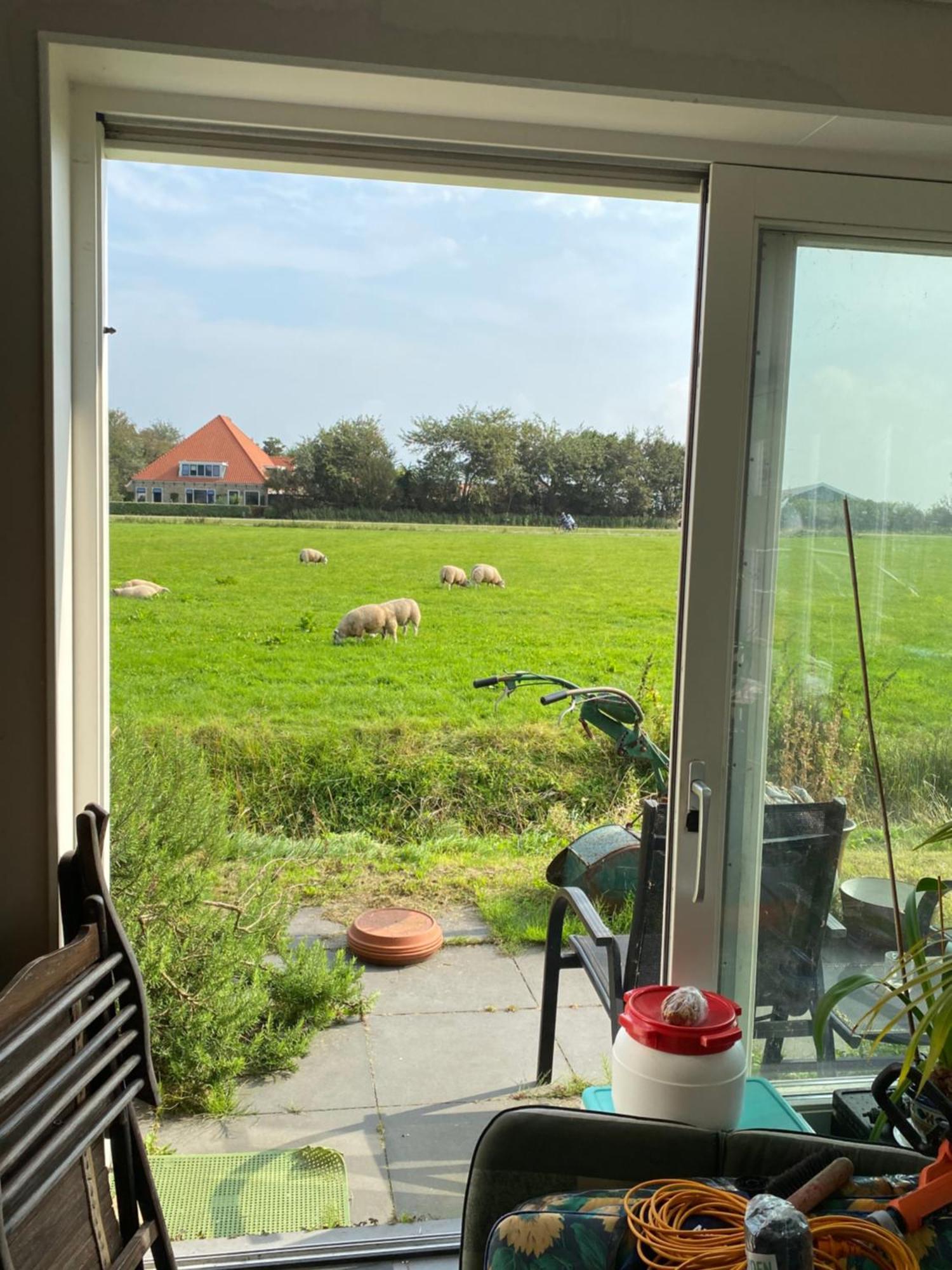 Oomes Huus Haestens And Koffie Den Hoorn  Exterior photo
