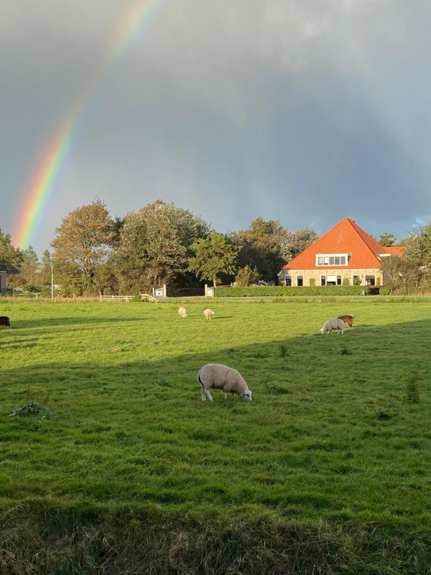 Oomes Huus Haestens And Koffie Den Hoorn  Exterior photo